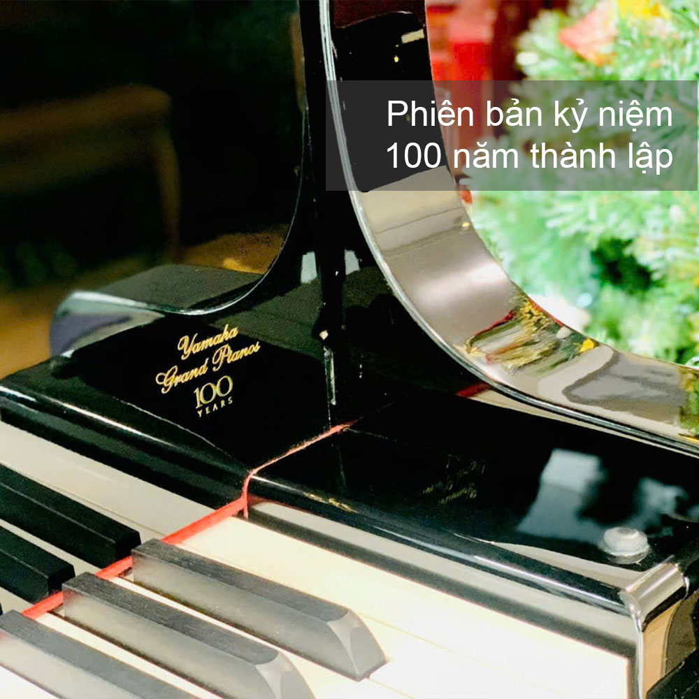 Phiên bản kỷ niệm 100 năm của Yamaha C3AE