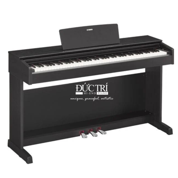Đàn piano là một nhạc cụ có kích thước lớn và kiểu dáng sang trọng, với bàn phím dài