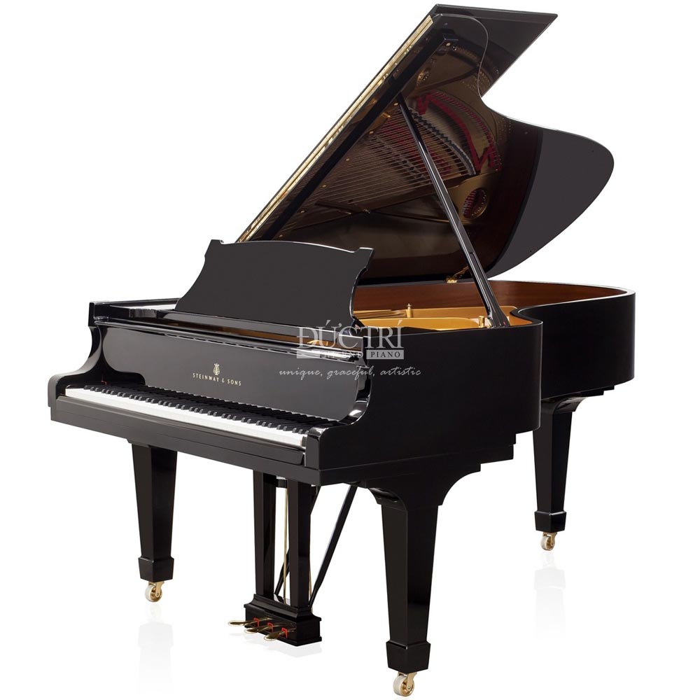 Các loại đàn cho thuê tại Piano Đức Trí