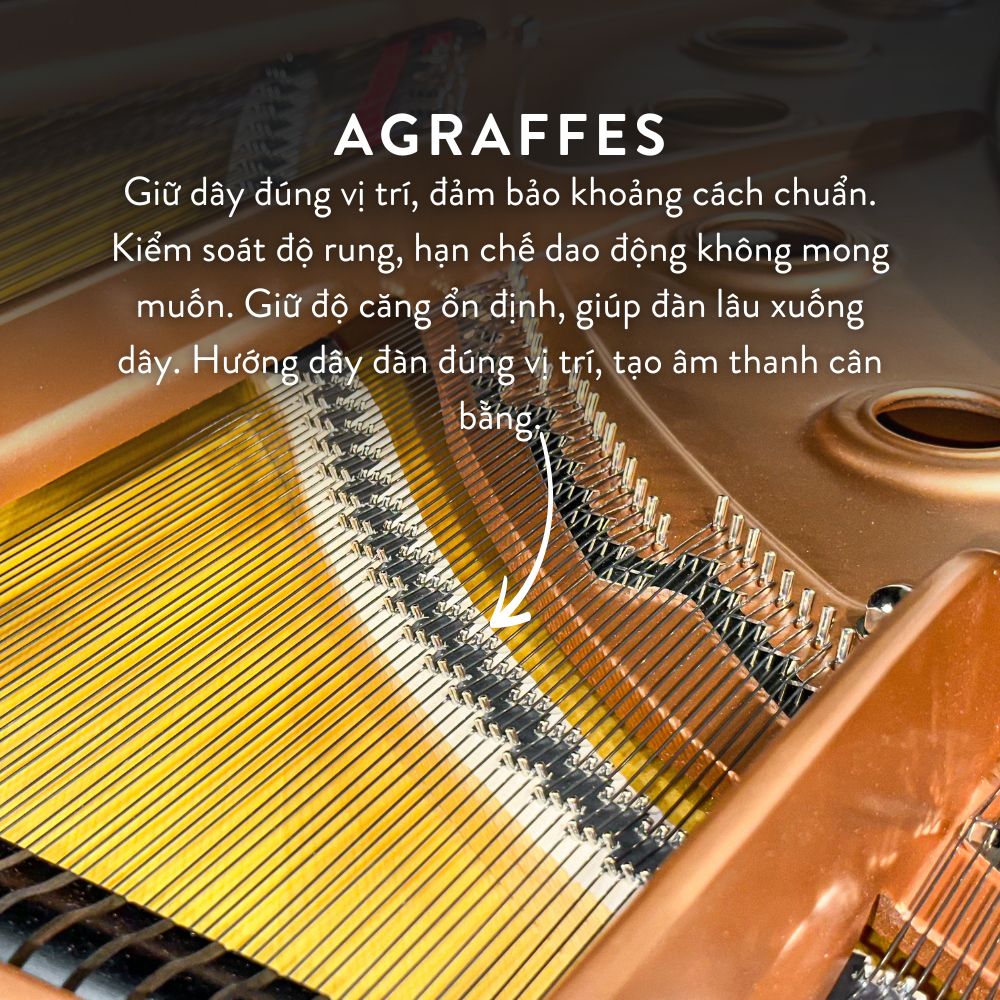 Đàn Grand Piano Yamaha C7 Cao Cấp tại Đức Trí Music