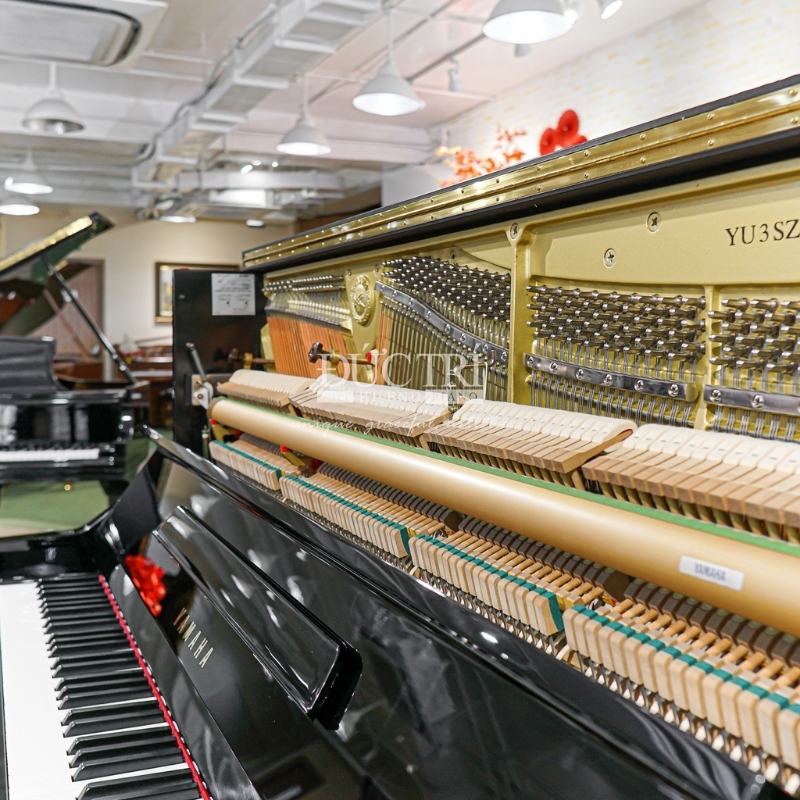 Yamaha YUS 15 Nội thất bên trong đàn Yamaha YUS