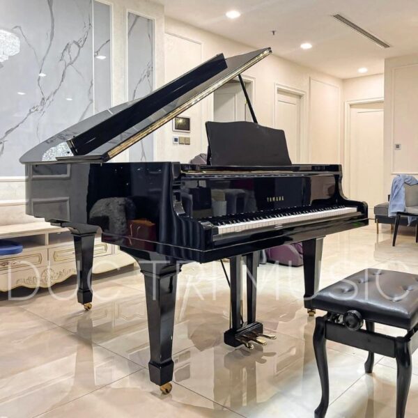 Yamaha GC1 được trưng bày tại Showroom của Piano Đức Trí