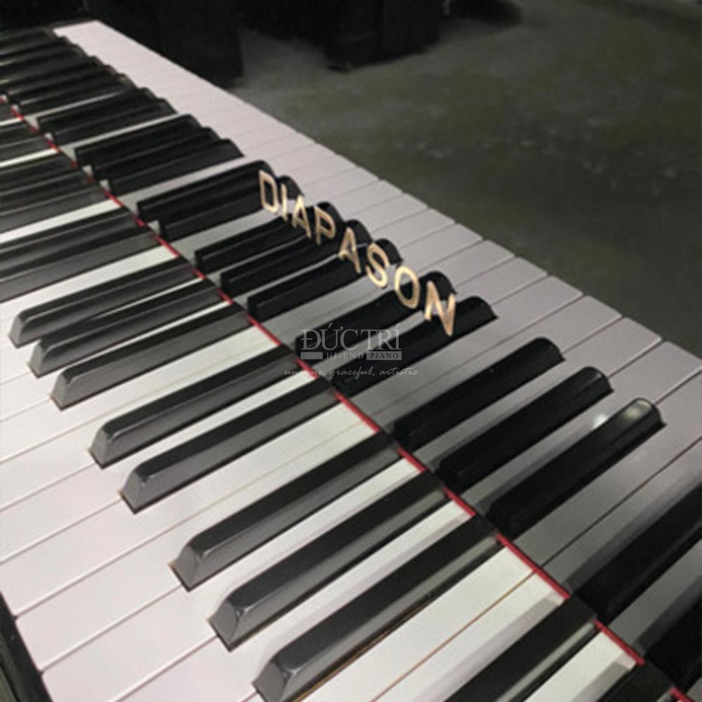 Bàn phím đàn pinao Diapason 183E