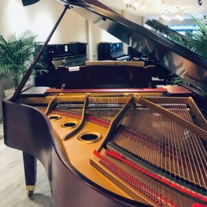 Dây Đàn piano Apollo A30