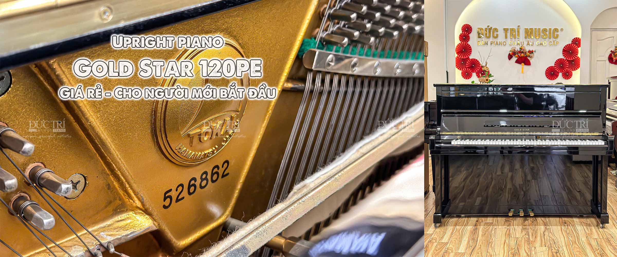 Gold Star 120PE 1 Gold Star 120PE giá rẻ cho người mới học