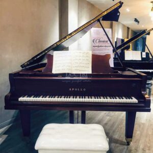 Kiểu dáng Đàn piano Apollo A30