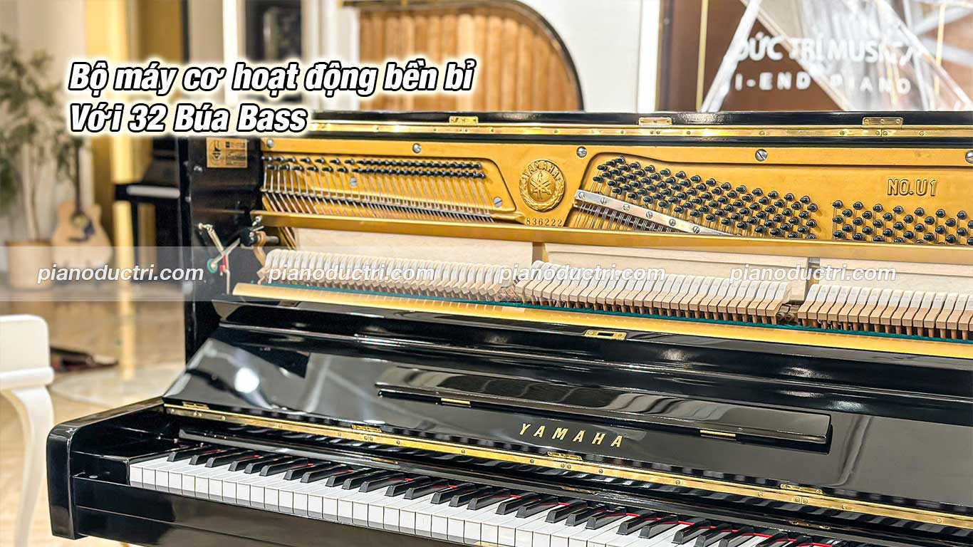 Máy đàn với 32 búa bass