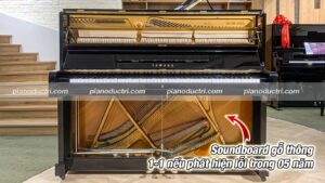 soundboard gỗ thông bảo hành 05 năm