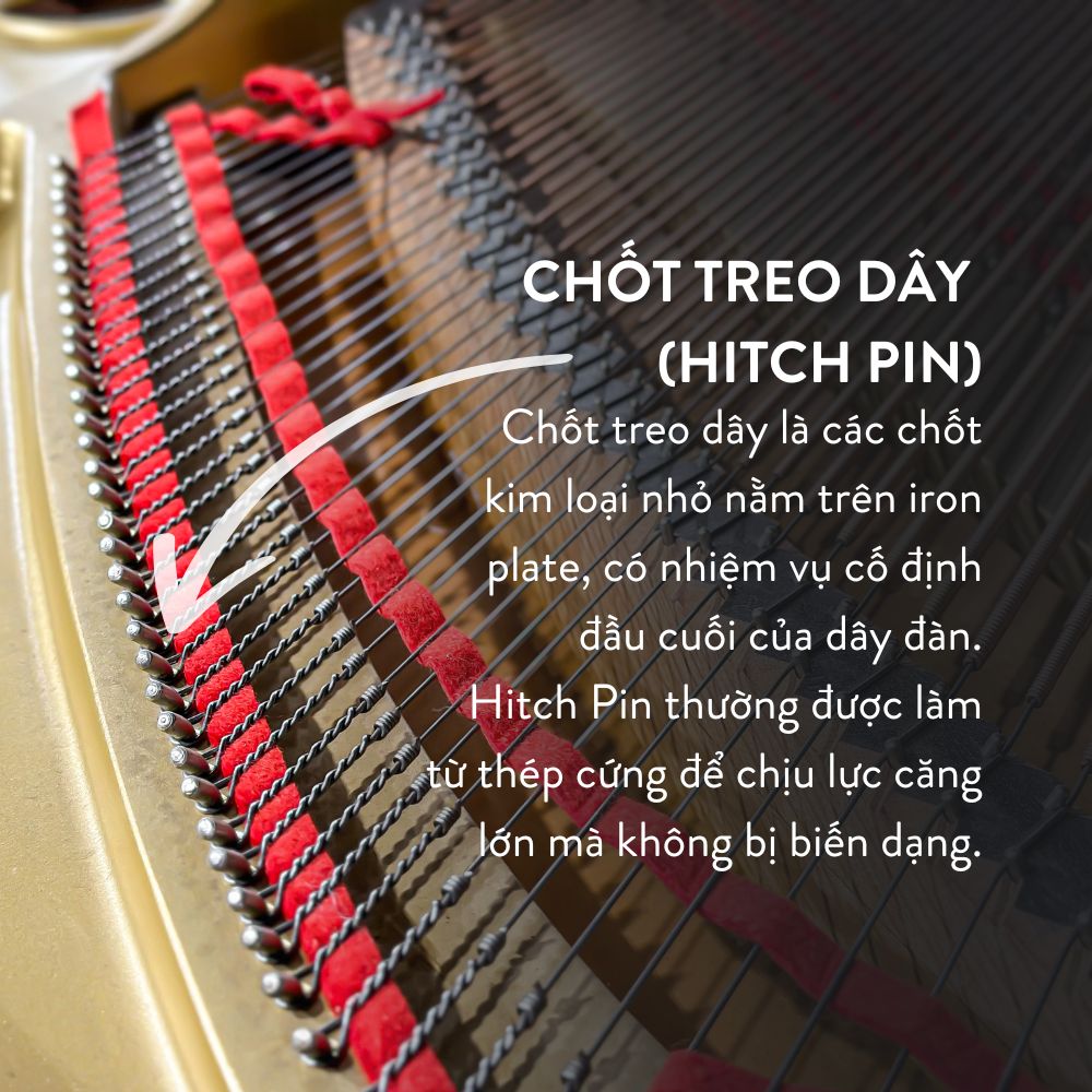 Đàn Grand Piano Yamaha C5 Cao Cấp Tại Đức Trí Music