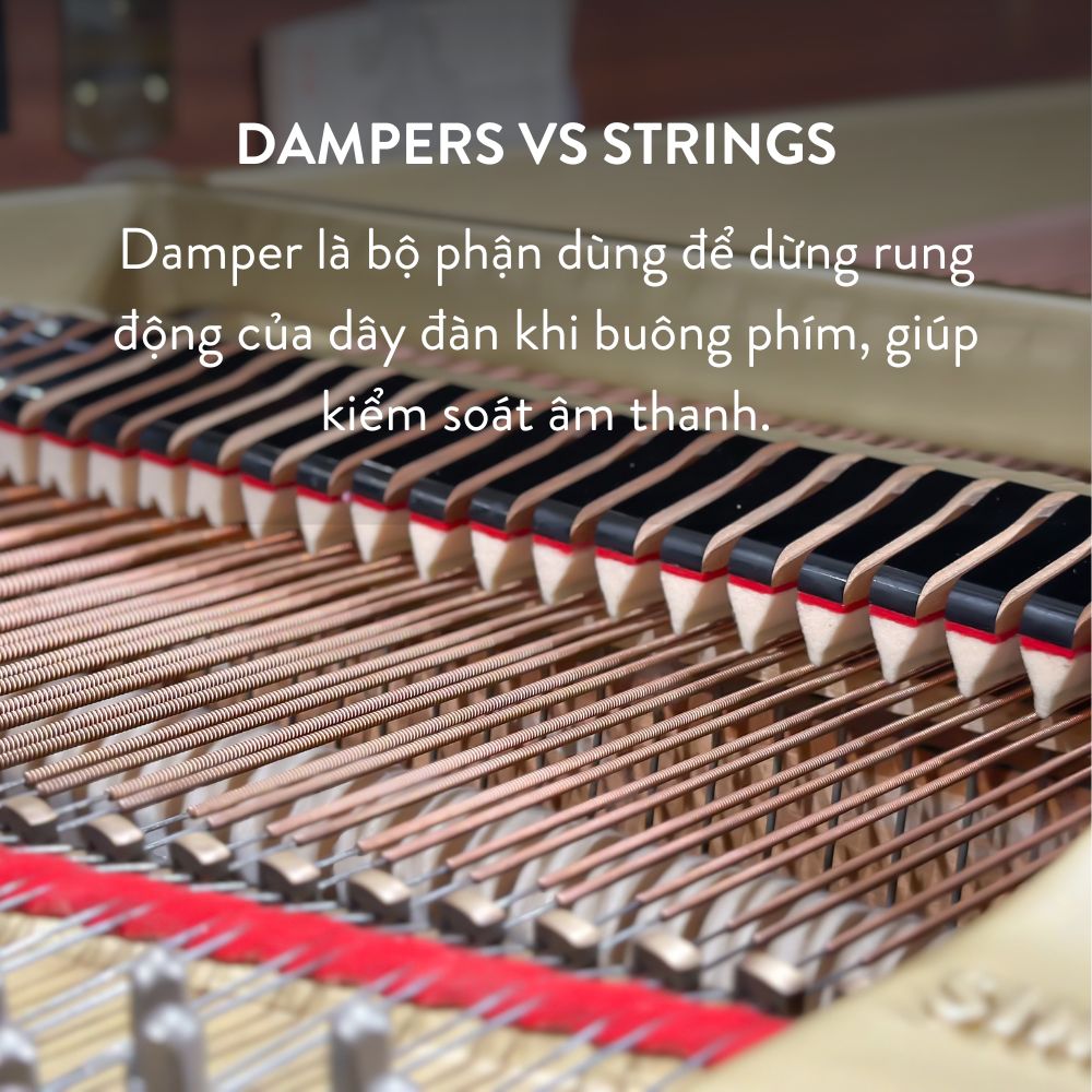 Đàn Grand Piano Yamaha C5 Cao Cấp Tại Đức Trí Music