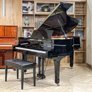 Đàn Grand Piano Yamaha C5 Cao Cấp tại Đức Trí Music