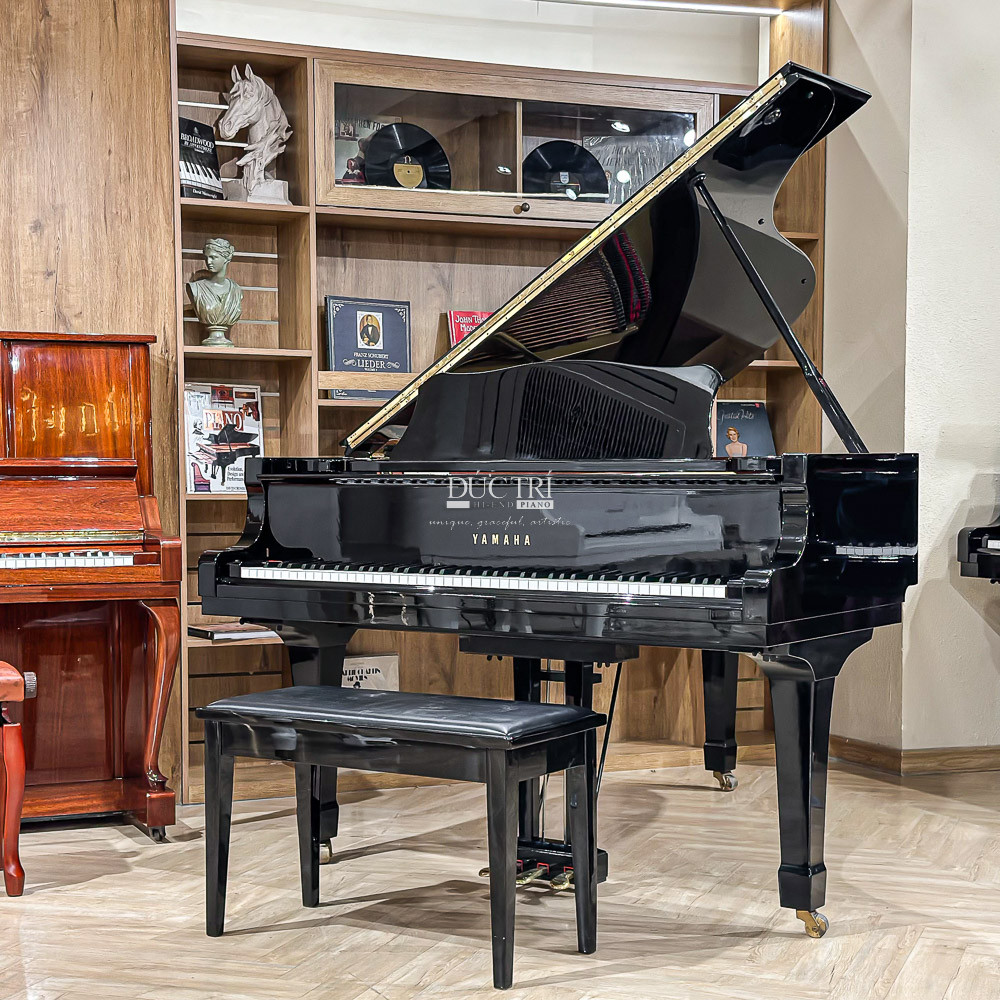 Đàn Grand Piano Yamaha C5 Cao Cấp tại Đức Trí Music