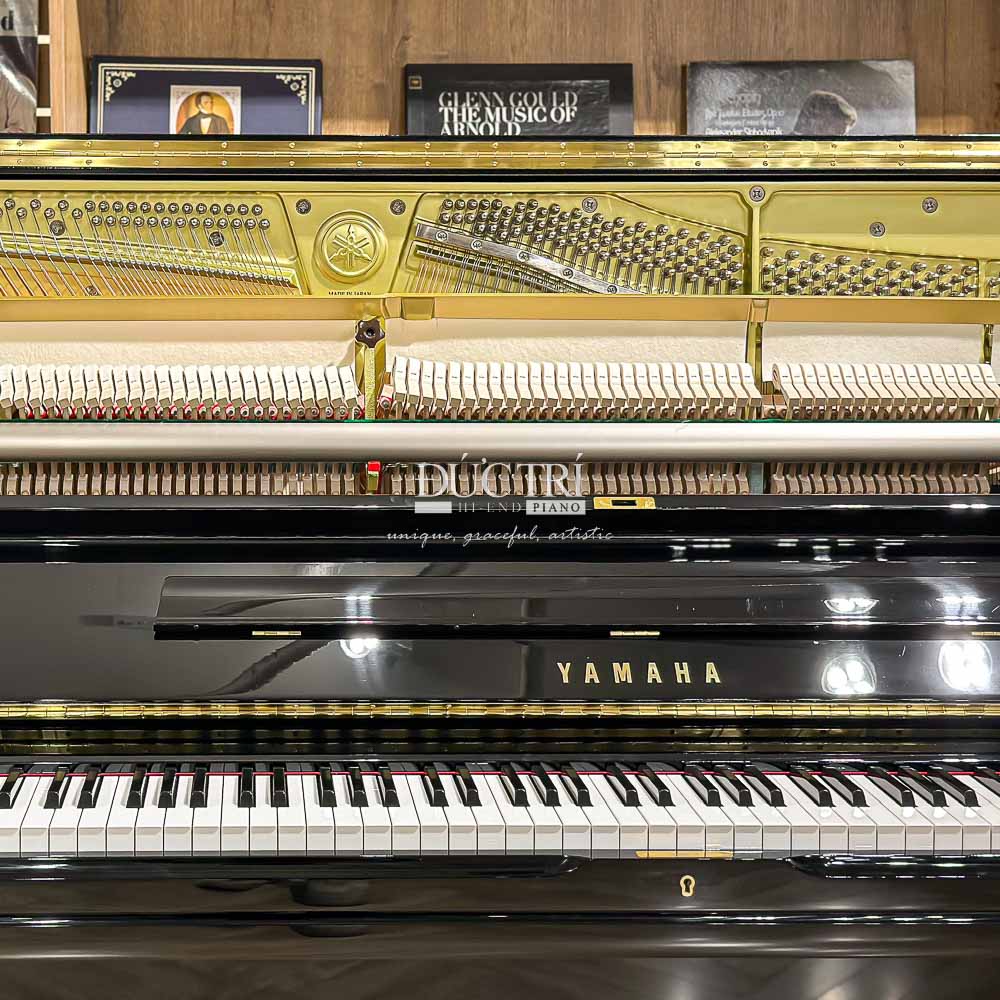 Đàn Piano yamaha u3 pe 2024-07