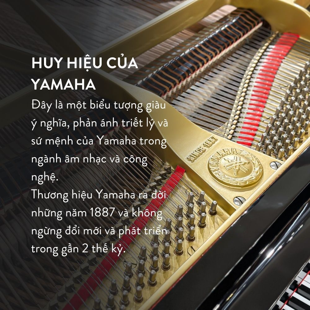 Đàn Grand Piano Yamaha C5 Cao Cấp Tại Đức Trí Music