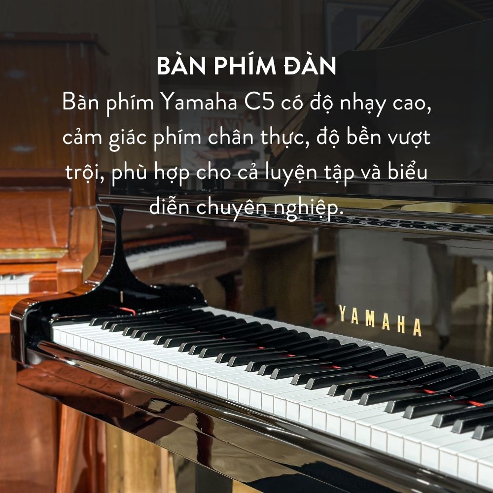 Đàn Grand Piano Yamaha C5 Cao Cấp Tại Đức Trí Music