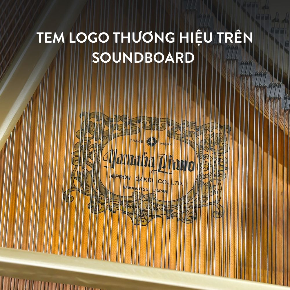 Đàn Grand Piano Yamaha C5 Cao Cấp Tại Đức Trí Music