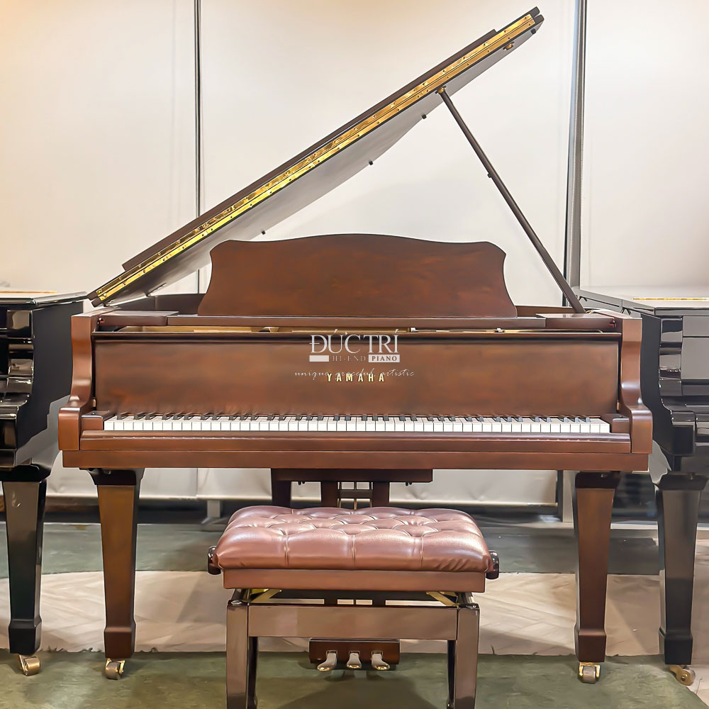 Trải Nghiệm Grand Piano Yamaha G3E Walnut Cao Cấp Tại Piano Đức Trí