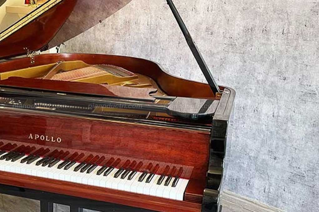 Apollo Grand