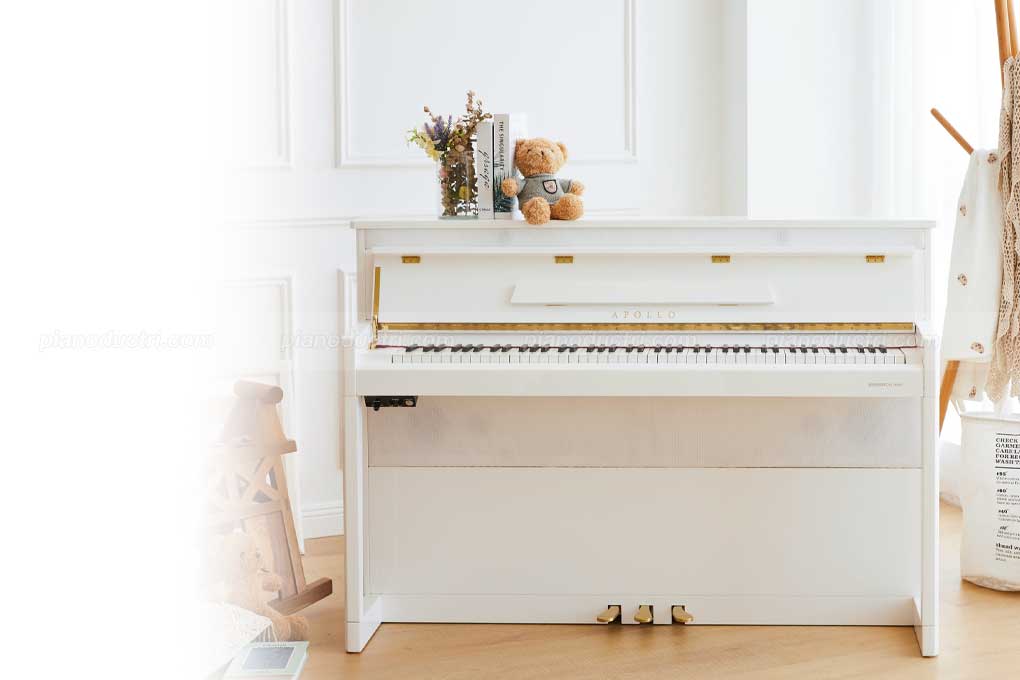 Apollo Upright