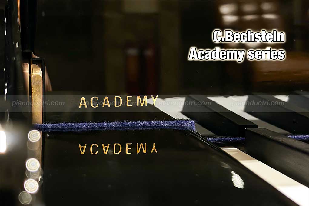 C.Bechstein Grand Dòng Academy