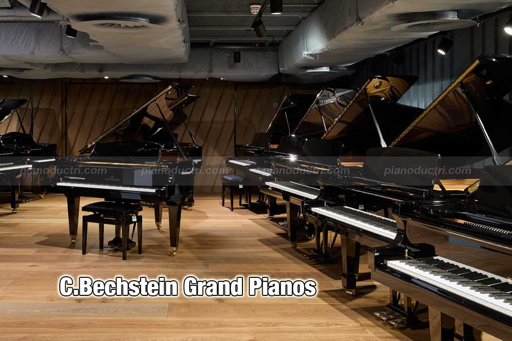 C.Bechstein Grand