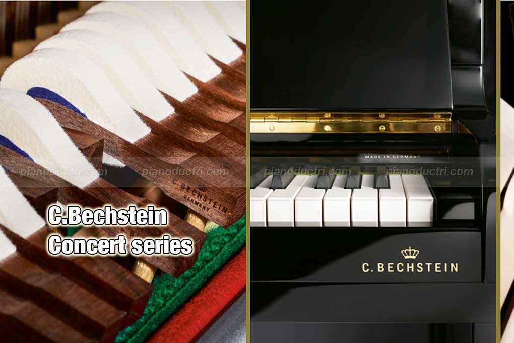 C.Bechstein Upright Dòng Concert