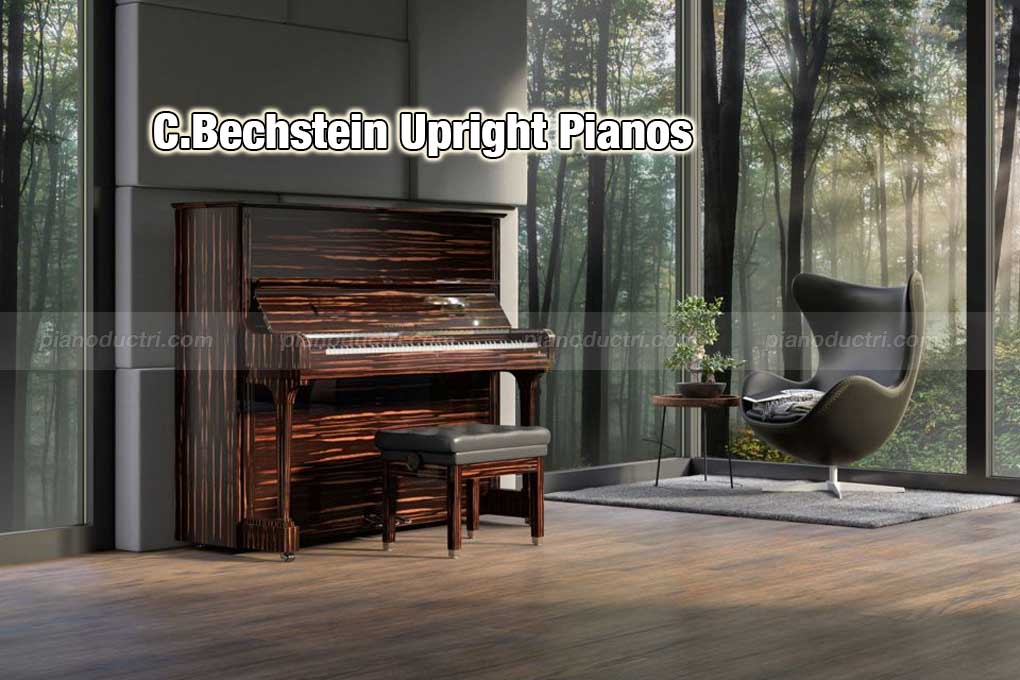 C.Bechstein Upright