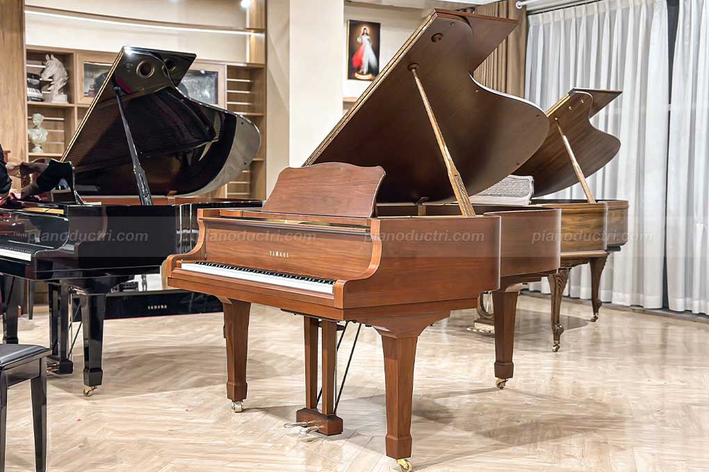Đàn Piano Grand