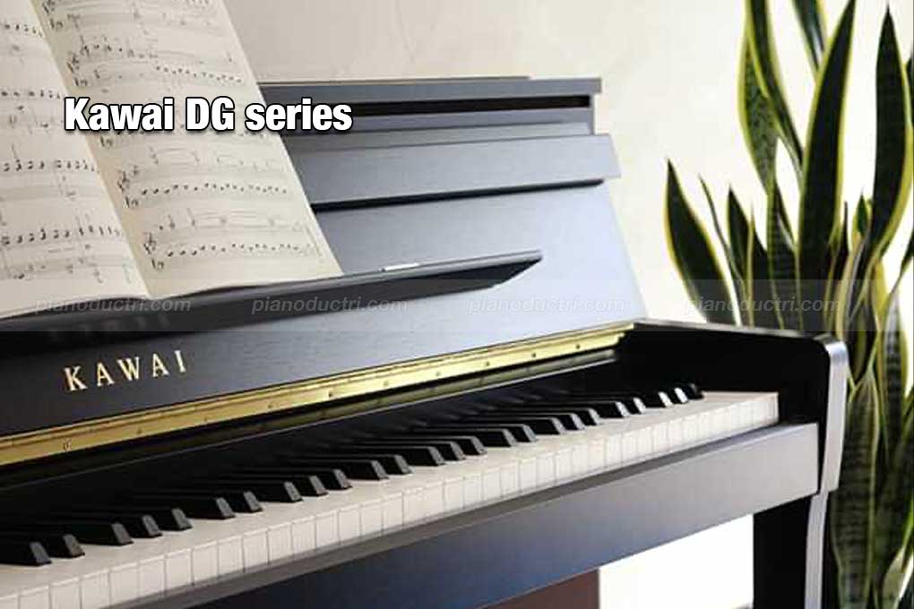 Đàn Piano Điện Kawai DG Series