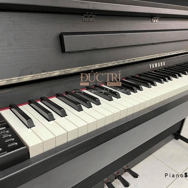 Yamaha CLP585 7 Logo và bàn phím chiếc đàn Yamaha CLP585