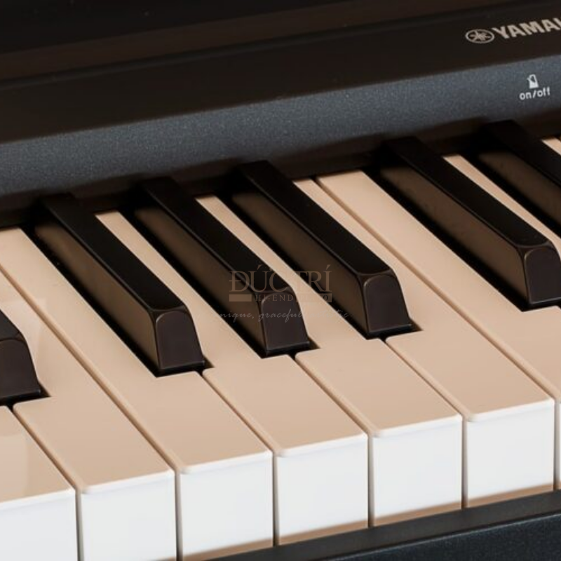Yamaha YDP163 7 Logo và bàn phím chiếc đàn Yamaha YDP163