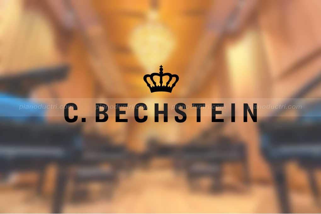 Đàn Piano C.Bechstein