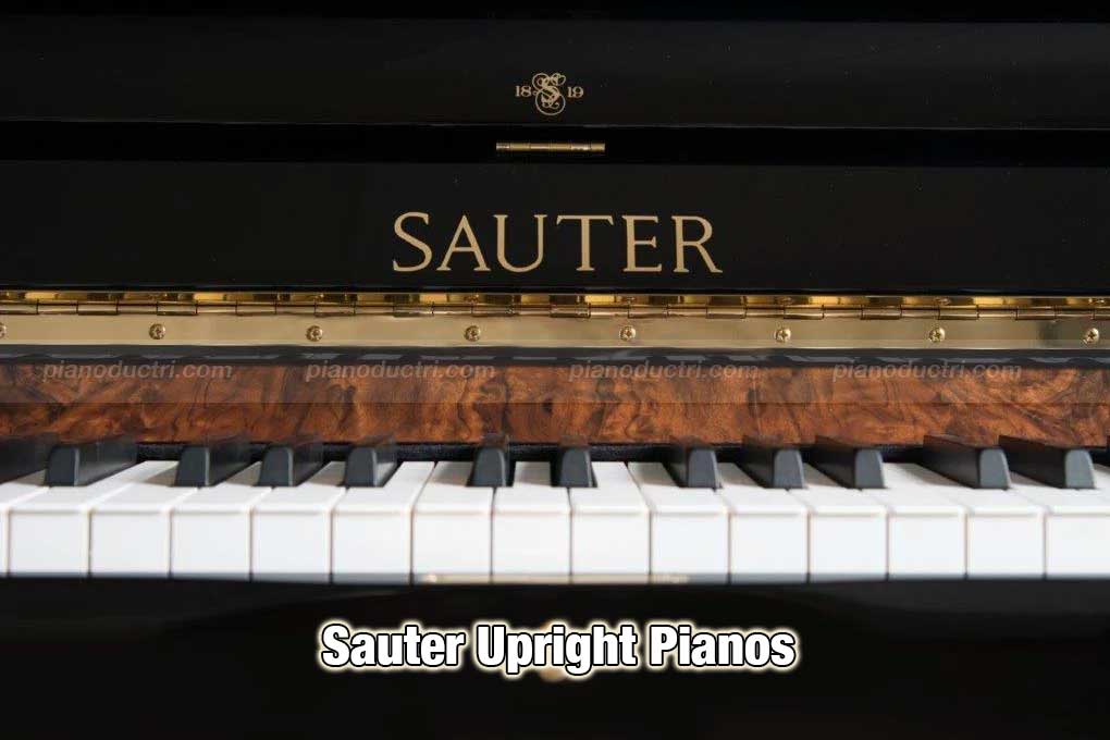 Sauter Upright