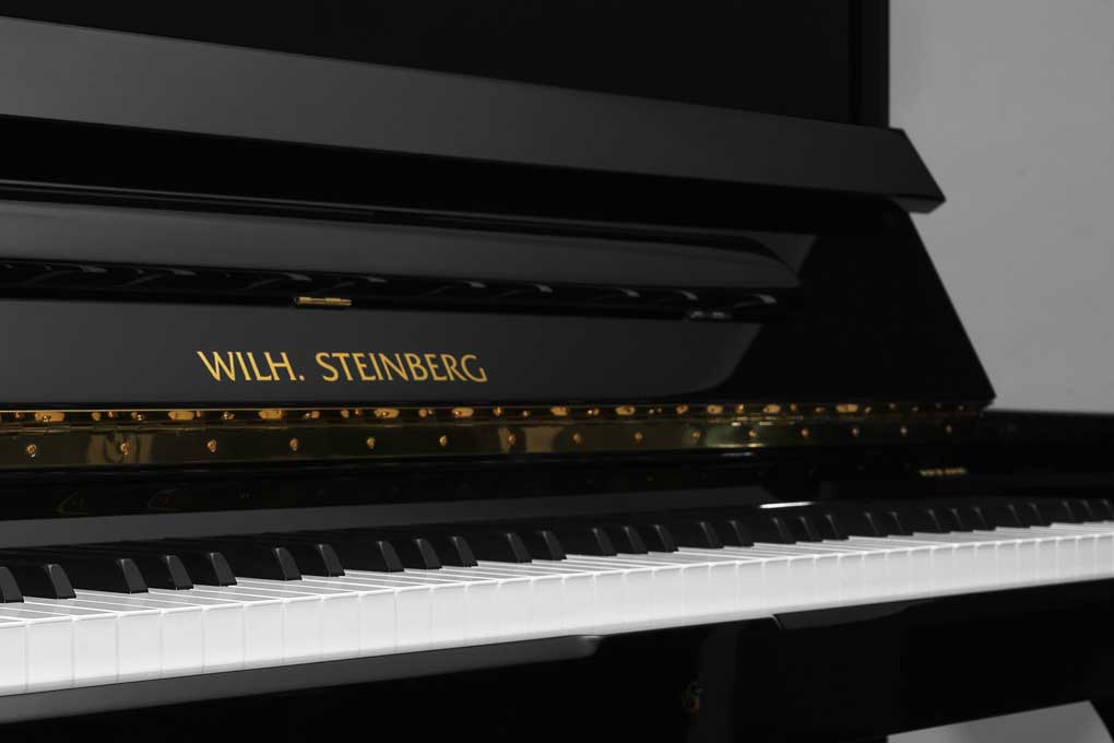 Wilh Steinberg Upright Dòng P