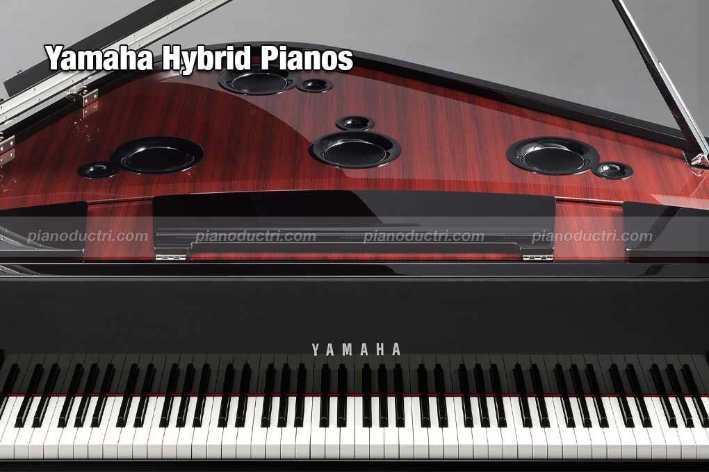 Piano Điện Yamaha Dòng Hybrid Pianos