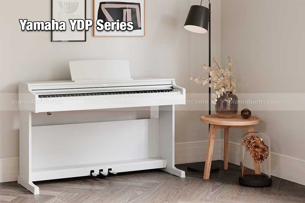 Piano Điện Yamaha Dòng Arius YDP Series