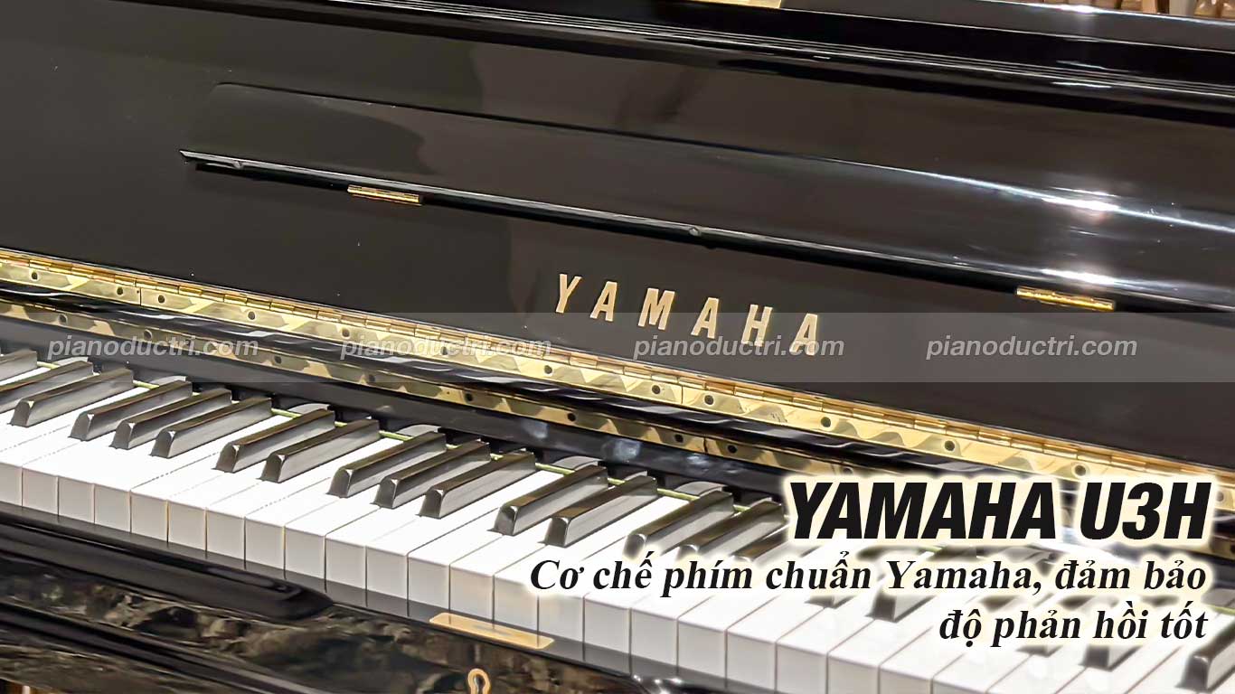 Hình ảnh bàn phím của Piano Yamaha U3H