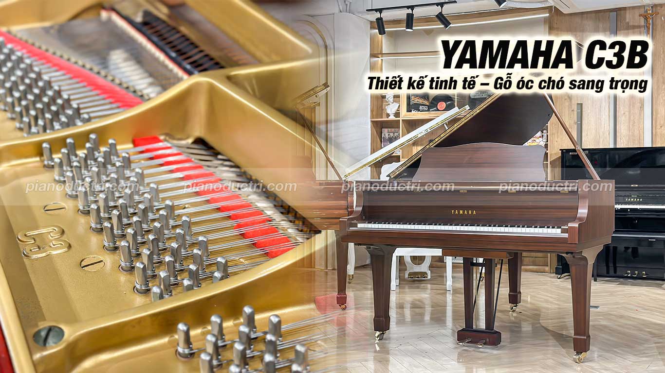 Đàn Grand Piano Yamaha C3B Walnut cao cấp tại Piano Đức Trí