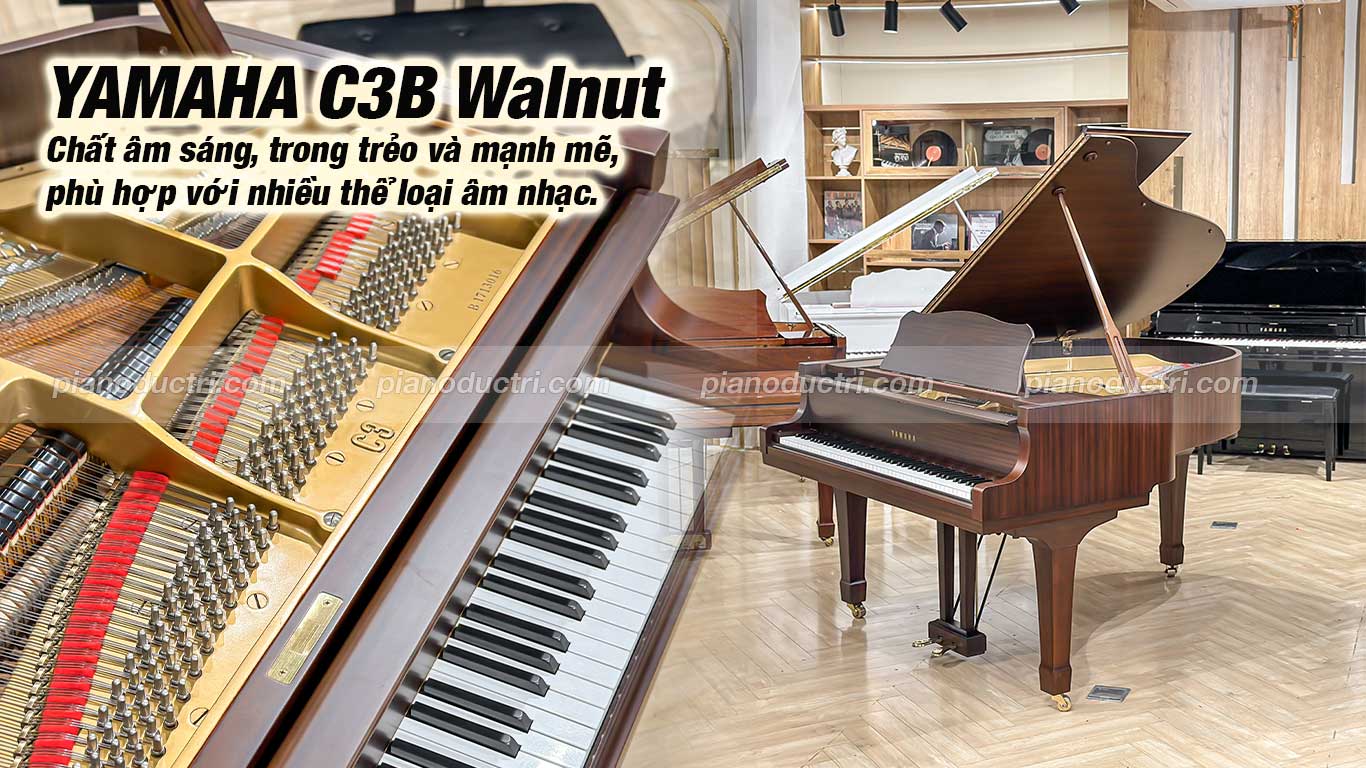 Đàn Grand Piano Yamaha C3B Walnut Giá tốt tại Piano Đức Trí