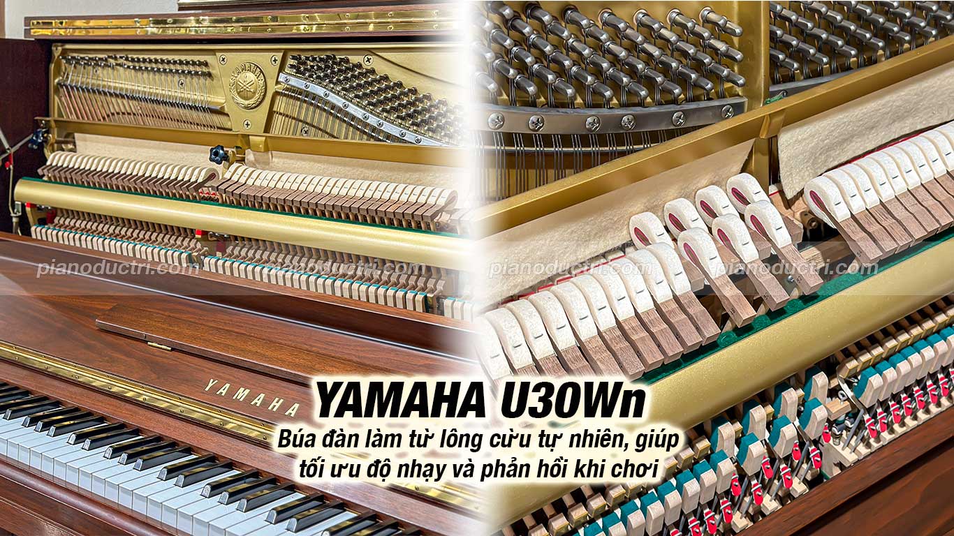 Đàn Piano Upright Yamaha U30Wn tại Đức Trí Music