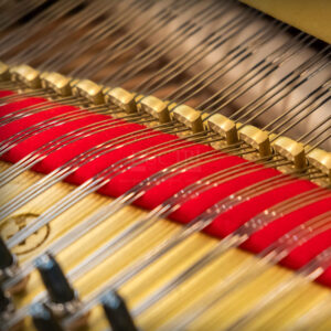 Chốt giữ dây Yamaha C5B