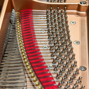 Chốt giữ dây yamaha c7l