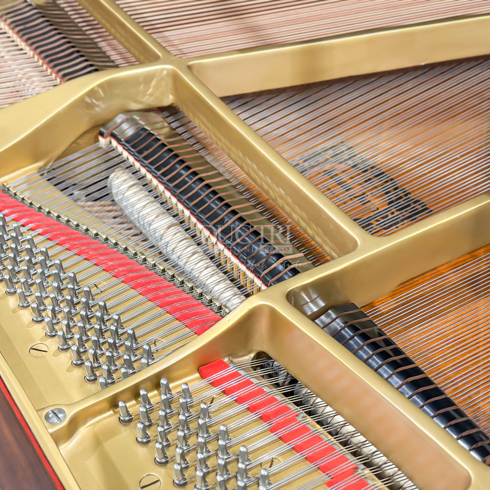 Đàn Grand Piano Yamaha C3B Walnut Cao Cấp Tại Đức Trí Music