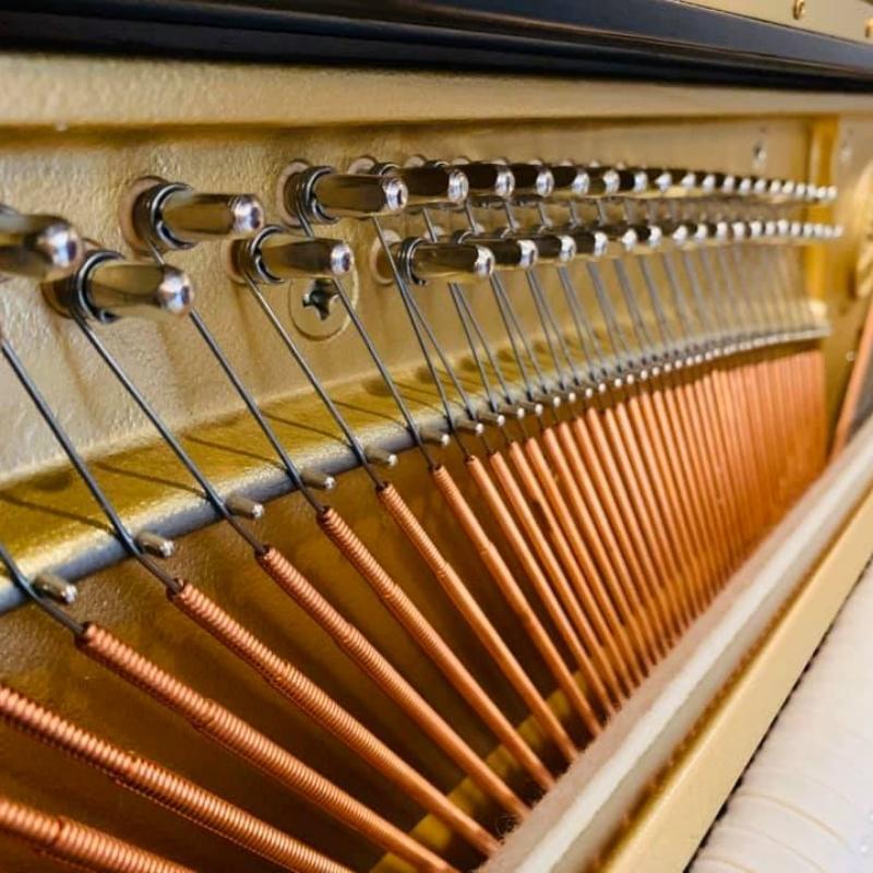 Yamaha U2F 13 Dây đàn Yamaha U2F