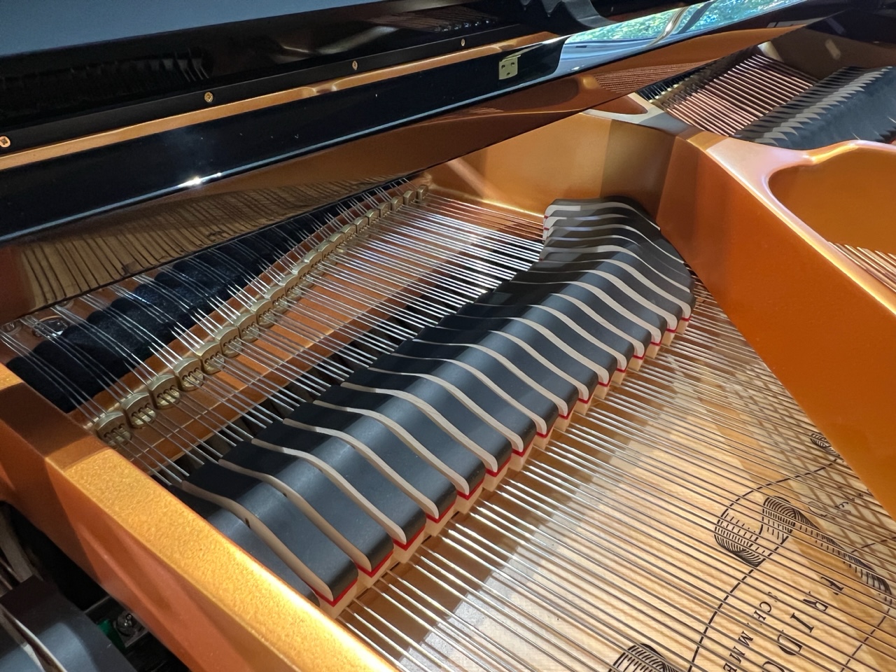 Hình ảnh dây đàn Piano Cơ Schimmel F156 Tradition