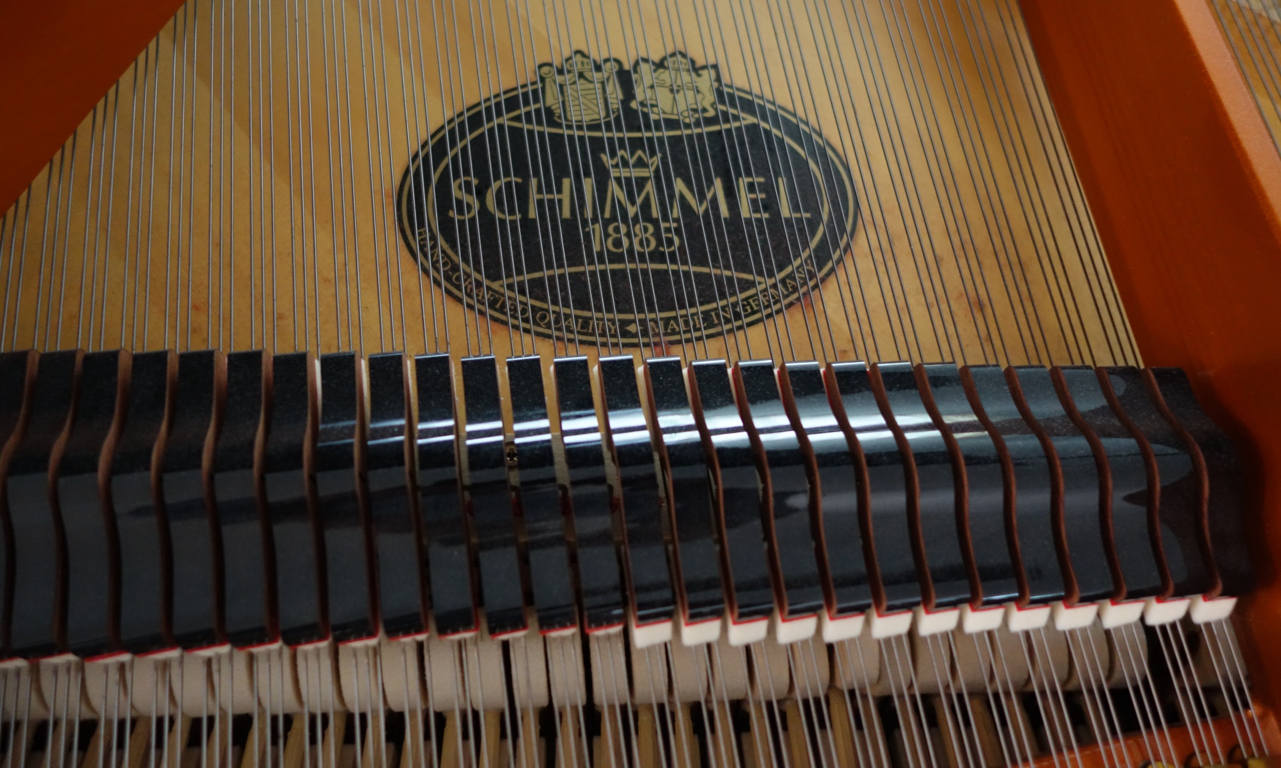 Schimmel C169 Tradition 5 Hình ảnh dây đàn Piano Schimmel C169 Tradition