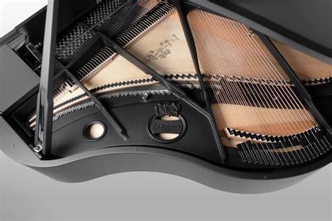 Schimmel C169 Tradition 1 Hình ảnh thùng đàn Piano Schimmel C169 Tradition