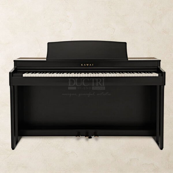 Kawai CN301