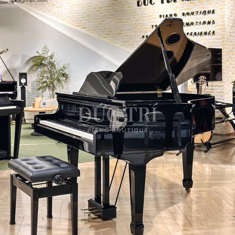 Steinway & Sons Louis XV Grand Piano 15 Đàn Piano Roland GP9
