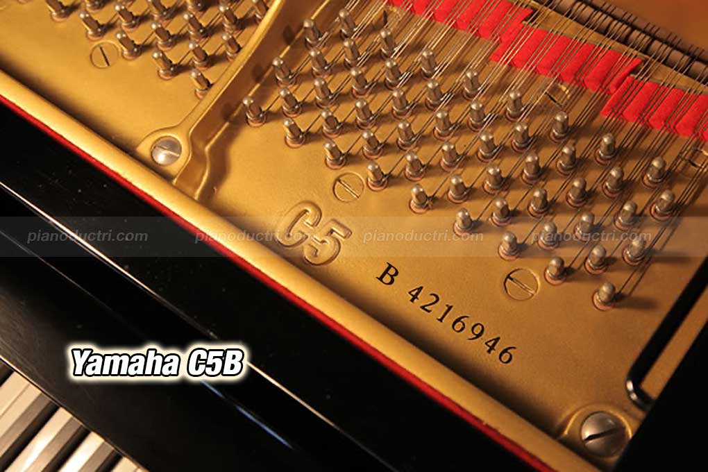 Seri Yamaha C5B